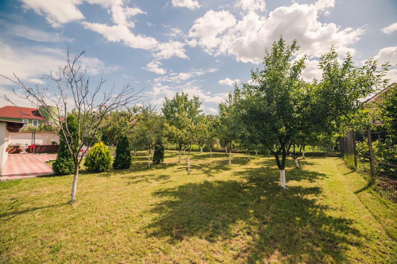 G.Eag - Premium Apartment Oradea Extérieur photo